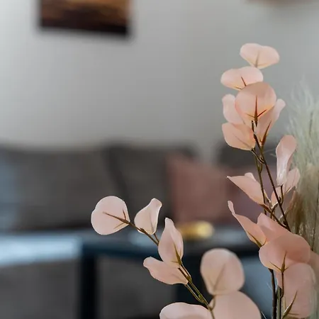 Idila Lux * زلاتيبور