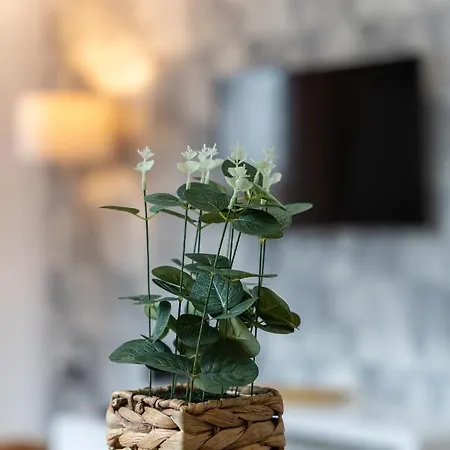 شقة Idila Lux زلاتيبور