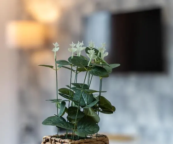 Apartament Idila Lux Zlatibor